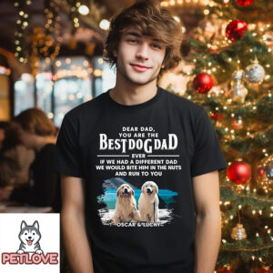 Dogs Run To You (up To 4 Dogs) – Personalized Custom Unisex T-Shirt