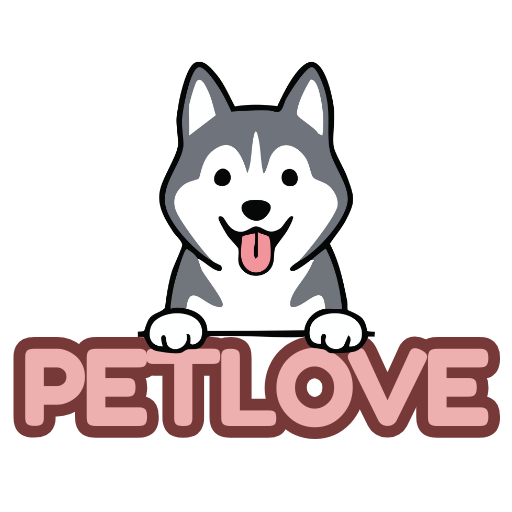 Husky Pet Love